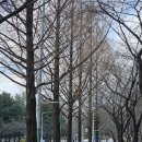 원주굽이길 원12코스 북원역사길 이미지