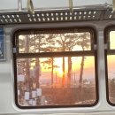 건지사거리 횡단보도 앞 이미지