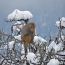 월드포장 이미지