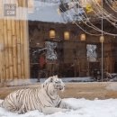 백호PC방 이미지