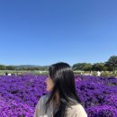 포근룸 다혜