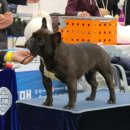 라온제나 이미지