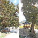 사전2리 경로당 이미지