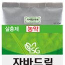 자바드림 이미지
