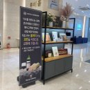 호텔선샤인 이미지