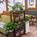 아리랑전통시장앞거리 이미지