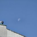 광평로10길(대모산1로) | 강남구 산책길 추천 대모산