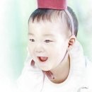 파티앤돌