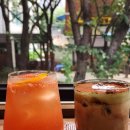 펫디저트(Pet Dessert) 이미지