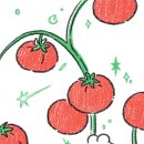 토심 Daum카페