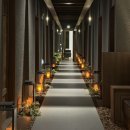 힐링포레 | 첨단 포레테라피&amp;스파 내돈내산 힐링 후기 _헤어그리다