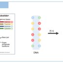 자연-탄생 이미지