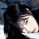 머레이크랩 이미지
