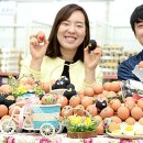 영농조합법인무지개농장