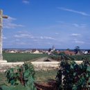 황금의 언덕 부르고뉴 와인 이미지