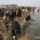 무창포어촌체험휴양마을 이미지