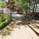 효성타운공인중개사사무소 이미지