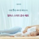 웰퍼스