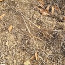 가중농장 이미지