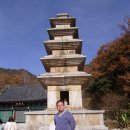 죽장사 Daum카페