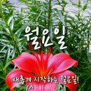 기족리마을회관 이미지