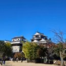 제주항공 제주예약센터노동조합 | [2025.11. 마쓰야마#1] 마쓰야마성 / 도고온천 족욕 / 마쓰야마 맛집 / 인생 고등어회🐟