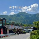 후쿠오카 유후인 벳부 버스투어 고민 끝! 니코니코투어 당일치기 내돈내산 추천 이유