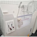 그루밍 하니 이미지