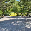 정이품송캠핑장 이미지