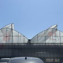 동민농장(2) 이미지