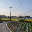 내곡1리마을회관 이미지