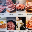 와우돈