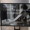 데이지엘헤어 범계점 이미지