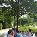 봉제산관리사무소 | [180725, 봉제산] 연합물놀이, 성공적인 스타트