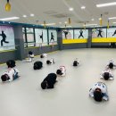 동아대학사태권도 이미지