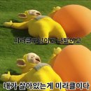 한학 이미지