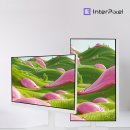 2728 | 인터픽셀 IP2728 27인치 모니터 2주 사용후기