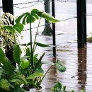 아뜰리에 모이 이미지