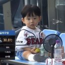 시율 Daum카페