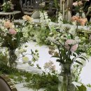 분당-78 | 2026년 분당 웨딩홀 더 메리든 본식후기