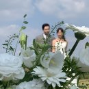 [스냅📸_3] 웨딩 촬영 가성비 생화 부케 추천💐 (양재 심플라워)