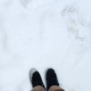 부부색소폰펜션 이미지