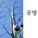 갤러리QOL