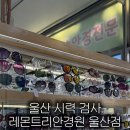 레몬트리 안경원 울산점 - 15386 | 레몬트리 안경원 울산점