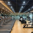 더핌커뮤니티