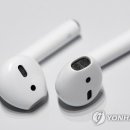 주다 이미지