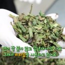 비파해물칼국수 이미지