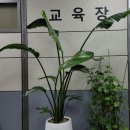 정진용역