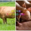 축산물도.소매