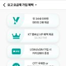 요고네일 | 알뜰요금제 I KT 요고61 알뜰요금제 내돈내산 솔직 후기